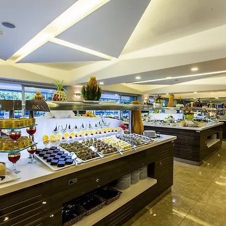 酒店 阿维娜度假酒店及spa水疗中心 阿拉尼亚